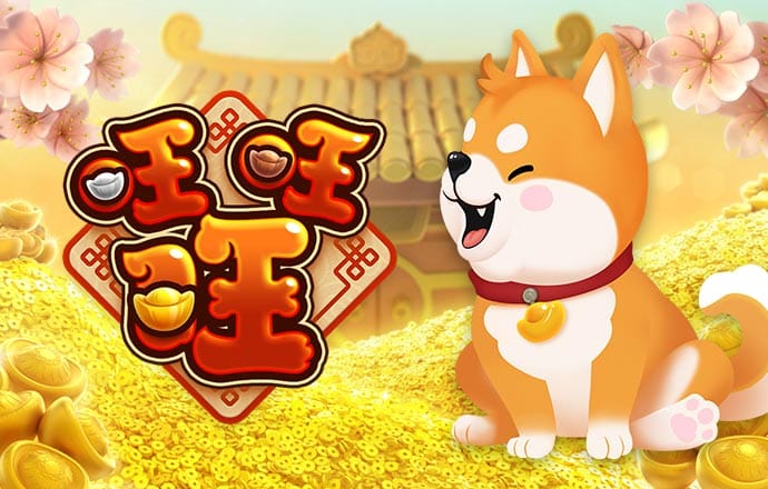 55世纪app下载