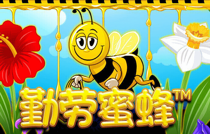香港天下彩CC线入口